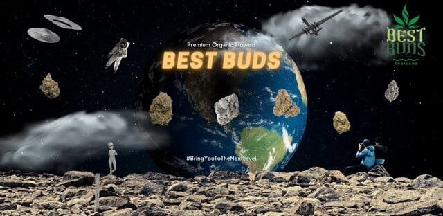 Best Buds Bangkok