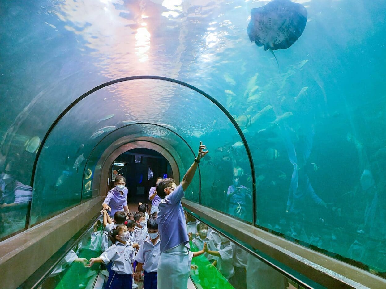 Phuket-Aquarium-Thailand-Directory